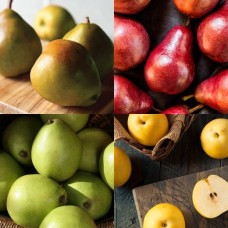 Oregon Pear Medley